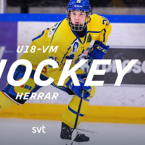 Sveriges Alexander Zetterberg. – Ishockey: U18-VM