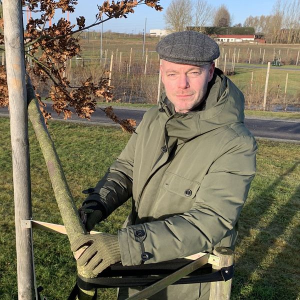 Stadsträdgårdsmästaren i Lund Karl-Oscar Seth inspekterar de avsågade träden i Kunskapsparken.