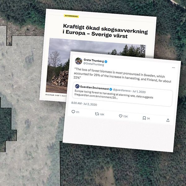 En bild som visar en skogsområde från ovan med ett klart utmarkerat område som är avverkat. Höger sida innehåller textsnuttar från olika källor, inklusive ett citat av Greta Thunberg och artiklar som belyser den ökade avverkningen av skog i Europa, med särskilt fokus på Sverige.