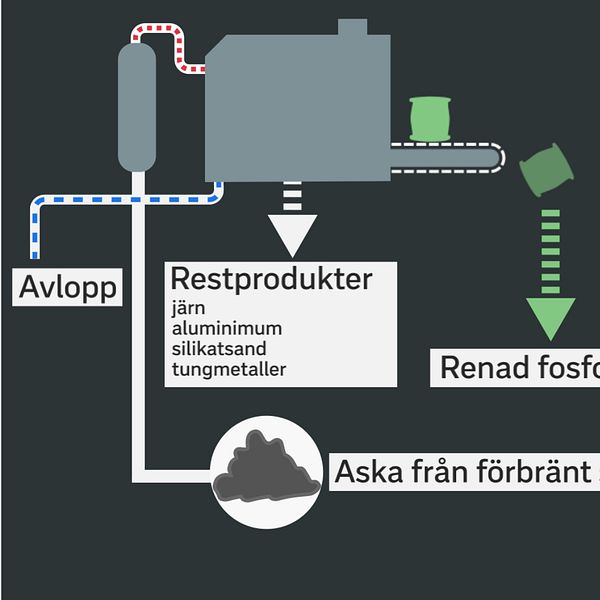 Fotomontage bild på skyltar som visar domstolsnamn och grafik över utvinningsprocessen av fosfor