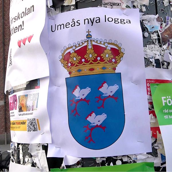 Konstnären Káren-Ann Hurri och det nya stadsvapnet