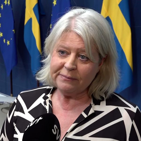 Camilla Waltersson Grönvall (M) socialtjänstminister