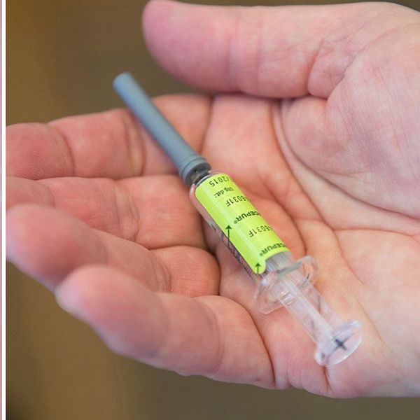 Fästing och bild på spruta med TBE-vaccin