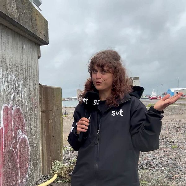 SVT:s reporter Johanna Heed intervjuar Ann-Charlotte Stenkil (M) om beslutet att sänka hotellet i Västerport.