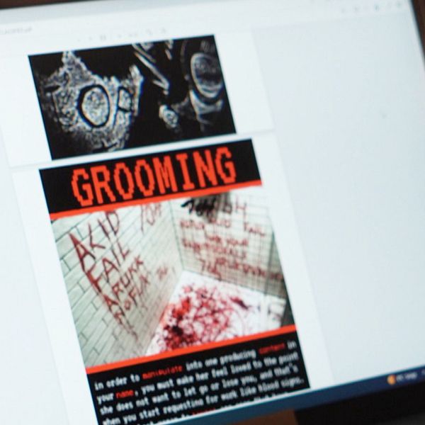Polis i uniform och datorskärm med information om grooming och brottsutredning.