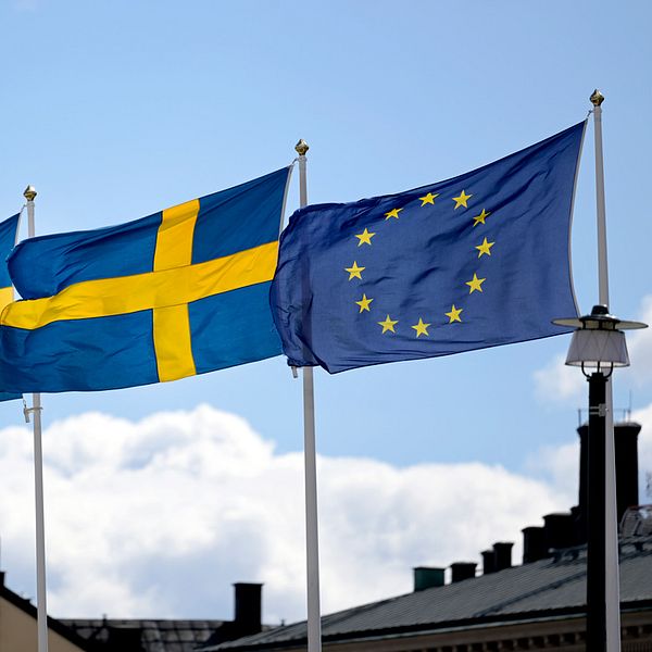 Två svenska flaggor och en EU-flagg. Valet till Europaparlamentet äger rum den 9 juni 2024.