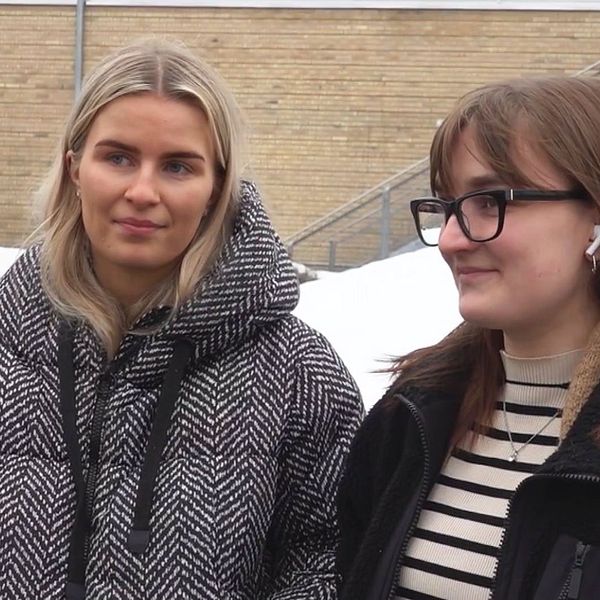 Studenter som berättar om hur de upplever pollen