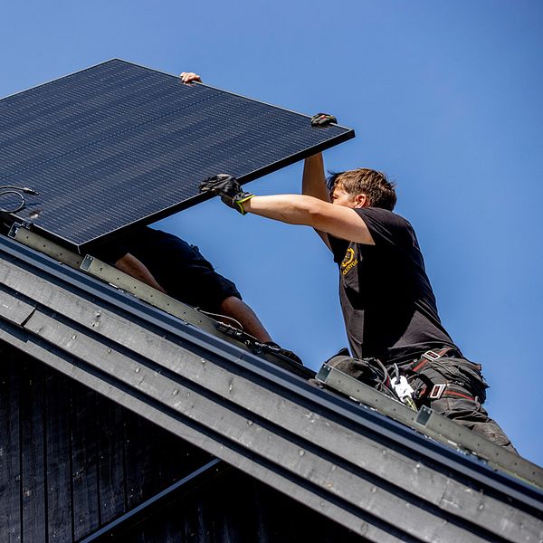 Anställda monterar solceller på ett tak en solig dag.