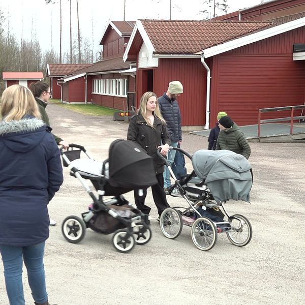 Kommunstyrelsen i Sunne föreslår fullmäktige att lägga ned Klättenskolan.