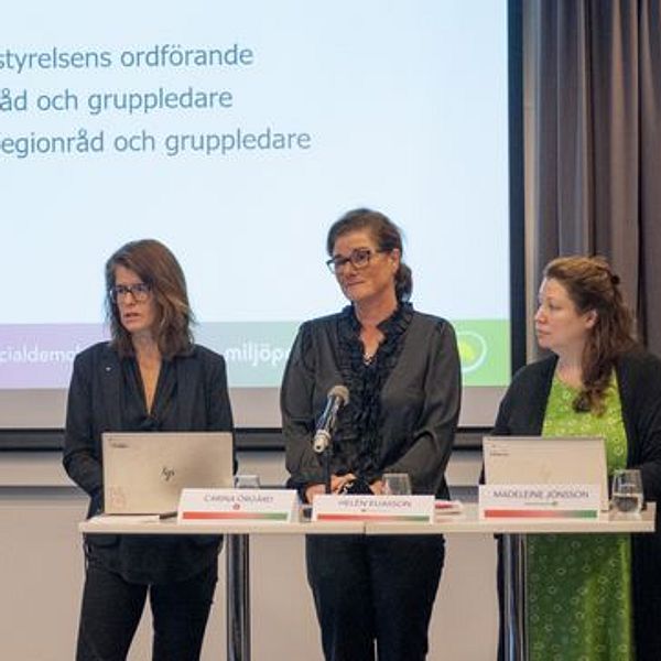 – Vi arbetar nu med ett initiativ för att formera oss och kunna hantera frågan om nytt journalsystem, säger Rödgrön ledning.