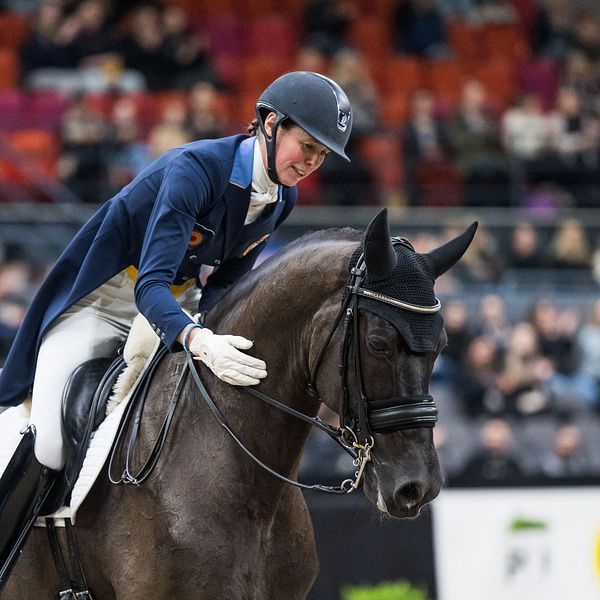 Ryttare klappar sin häst vid en ridsporttävling, publik skymtar i bakgrunden.