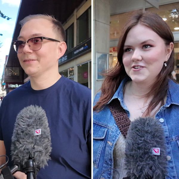 Kvinna och man med glasögon och kvinna med jeansjacka blir intervjuade.