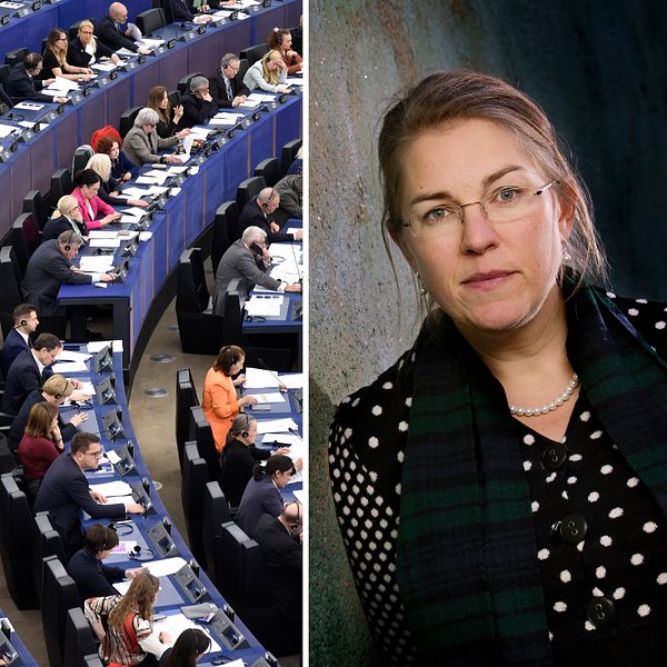 EU-parlamentet till vänster och forskaren Camilla Nothhaft till höger