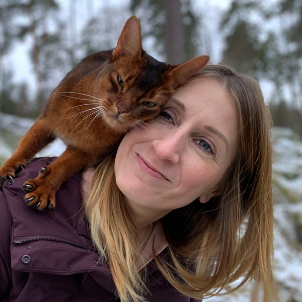 katt på sin ägares axel