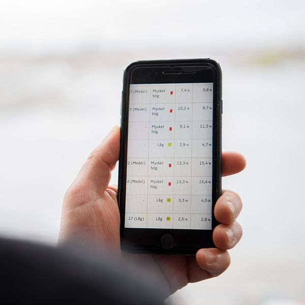 En person tittar på odds och resultat i en bettingapp på sin mobiltelefon.