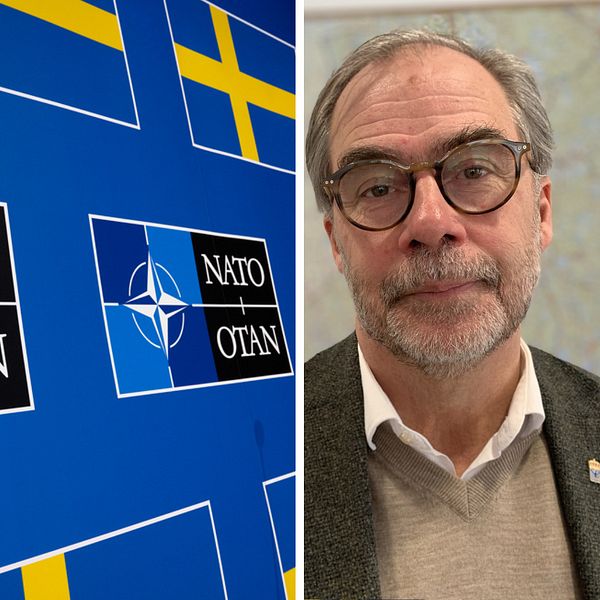 Splitbild med natoflagg jämte Svenska flaggan till vänster och landshövding Georg Andrén till höger