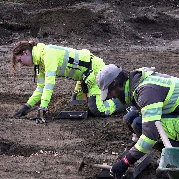 Två arkeologer i reflexjackor arbetar på en utgrävningsplats. Den ena personen, med lockigt hår, är böjd över en grop medan den andra, med mössa, koncentrerar sig på sitt arbete. Omgivningen är jordig och rörig, med verktyg och jordhögar i bakgrunden.