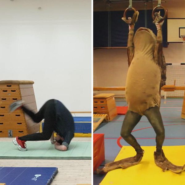 Ur Ihrmans verk Redskapsgymnastik, en människa utklädd till groda gör gymnastik.