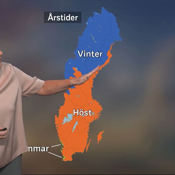 Deana Bajic från SVT Väder, meteorologisk vinter över Ångermanland