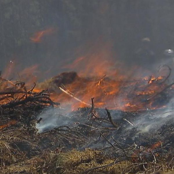 Räddningschefen Sofia Martinsson och en brand i mark.