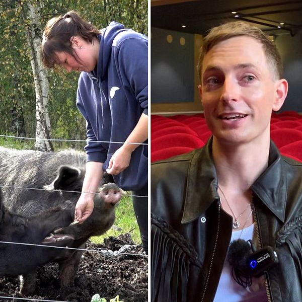 Tre delad bild – till vänster en kvinna med mörkblå väst och uppsatt mörkt hår; i mitten en kvinna med mörkt hår som matar ett par svarta grisar; till höger en kille med kort blont hår och läderjacka med fransar.