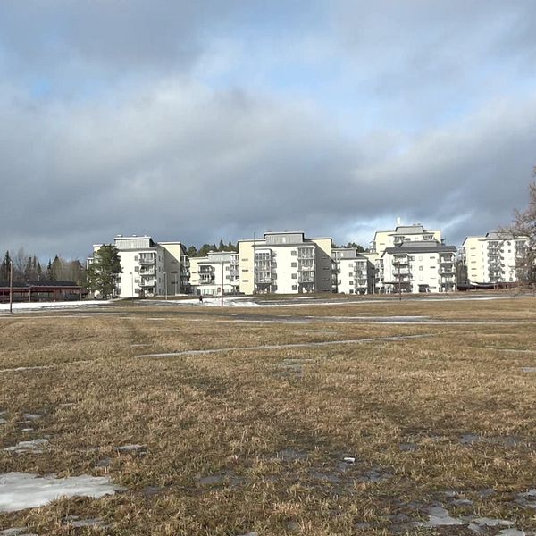 Tvådelad bild. Till höger: Gråa hyreshus vid ett snöglest fält under molnig himmel. Till vänster: En kvinna i blå tröja med hög krage.