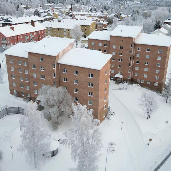 Maria Philipsson, vd för Vibo och några bostadshus i Vilhelmina