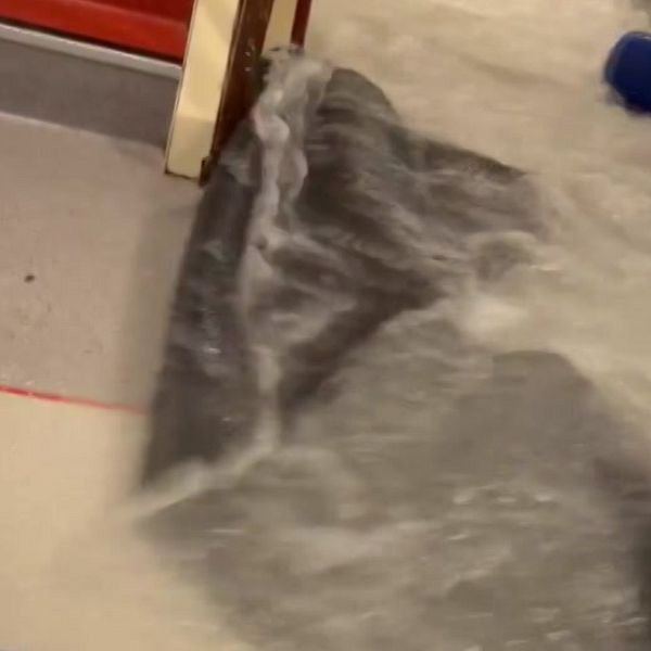 Splitbild på passageraren Erik Börjesson och golvet på färjan som är täckt av vatten.