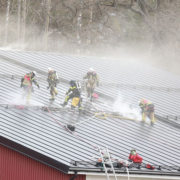 Brandmän på tak