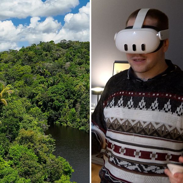 3D-printat enzym, Amazonas, Virtual reality