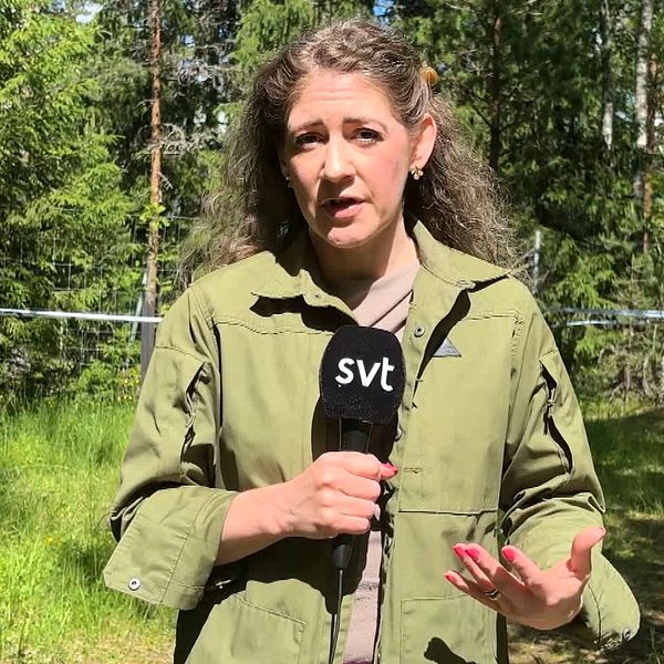 Audret Erath från SVT vid avspärrat gruvhål i Norbergs kommun