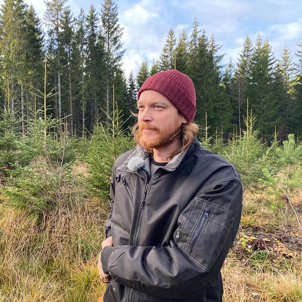 Oskar Österholm i sin skog i Söderköpings kommun