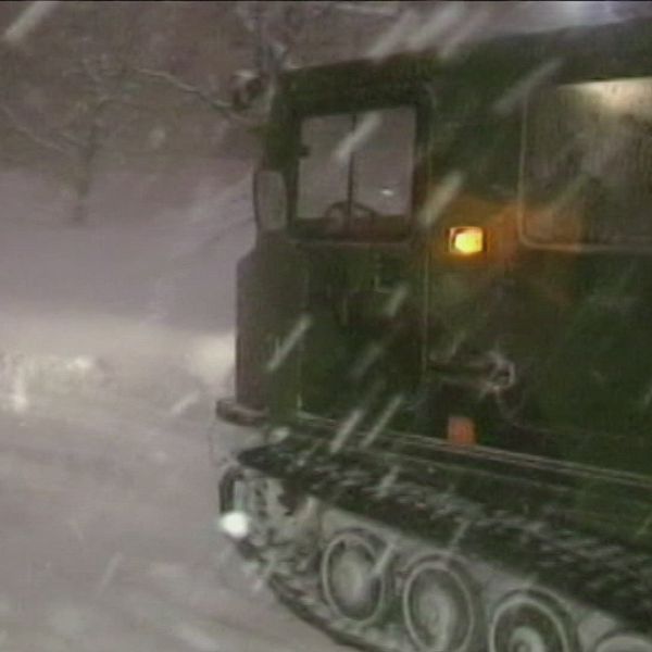 bandvagnar i snöstorm