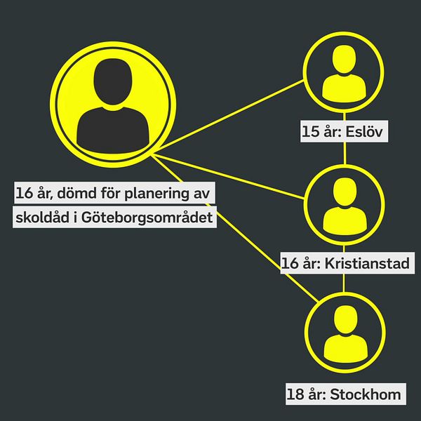My Vingren, researcher expo, och grafik över kopplingar mellan de som begår skolattacker.