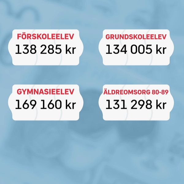 Kommunalrådet förklarar i klippet varför de vill använda modellen.