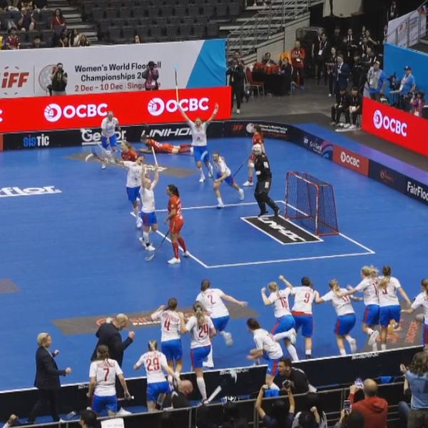 Bronsmatch innebandy