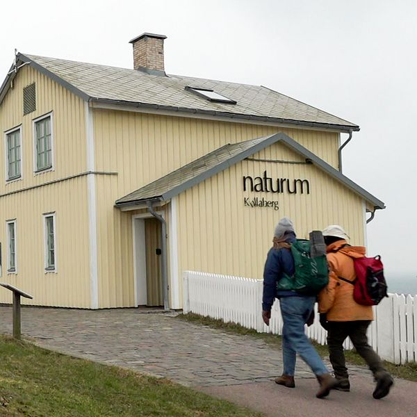 Naturum på Kullaberg