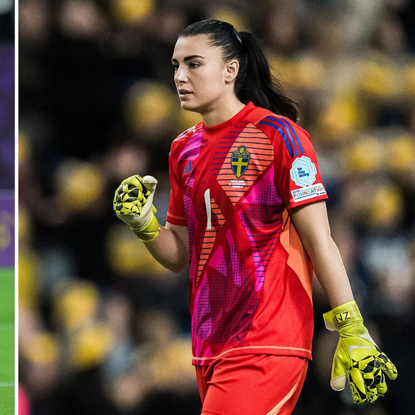 Tony Gustavsson vid sidlinjen under svensk landskamp