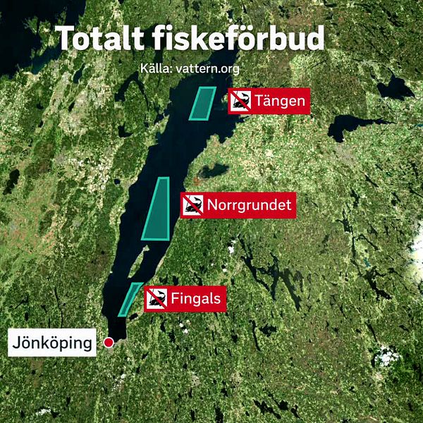 Anton Hallden, länsfiskekonsulent länsstyrelsen i Jönköpin står vid vättern iklädd blå jacka.