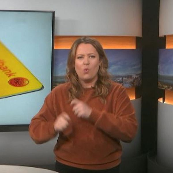 Programledaren tecknar ”ekonomi”