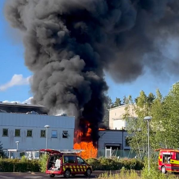 Man i glasögon framför fabrik, lågor från brand