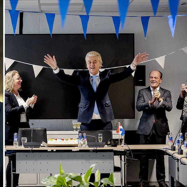 Ulrika Bergsten, Geert Wilders
