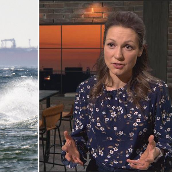 Svensk kustbevakning närmar sig ett fartyg i Östersjön, med tv-reporter i bildruta.