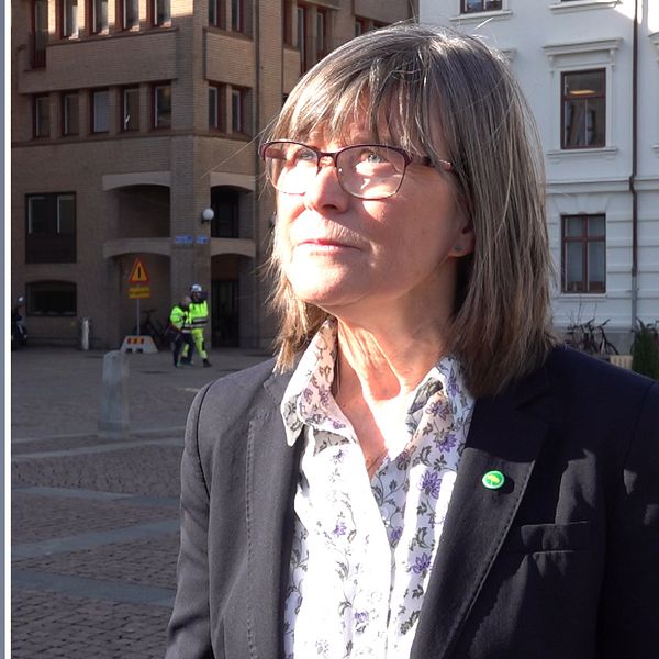Tvådelad bild. Till vänster: en flagga med Göteborgs lejon. Till höger: en kvinna framför byggnader.