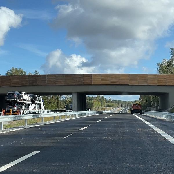 En delad bild som visar två scener. Till vänster sitter en person i en gul reflexjacka på en stor sten i en skogig miljö. Till höger är en nybyggd motorväg som sträcker sig under en träbro, med en transportbil och byggmaskiner synliga. Himmel med några moln syns i bakgrunden.