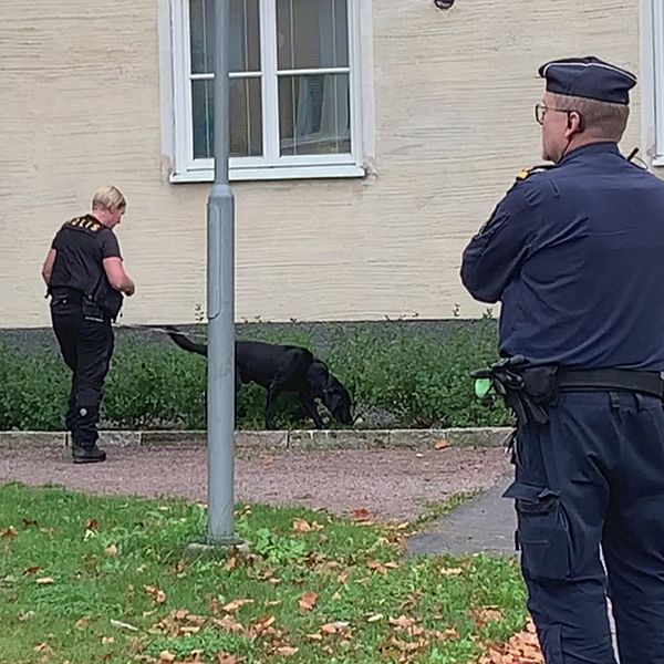 Avspärrningar i Sala backe och bilder på poliser som undersöker.