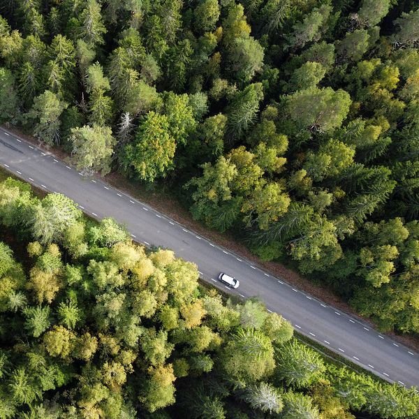 Bil kör på landsväg genom tät skog, sedd ovanifrån.