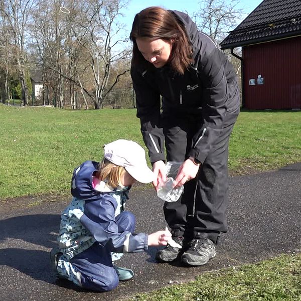 Plastskräp ligger bland löv i en skogsdunge. Ett barn och en kvinna plockar skräp.