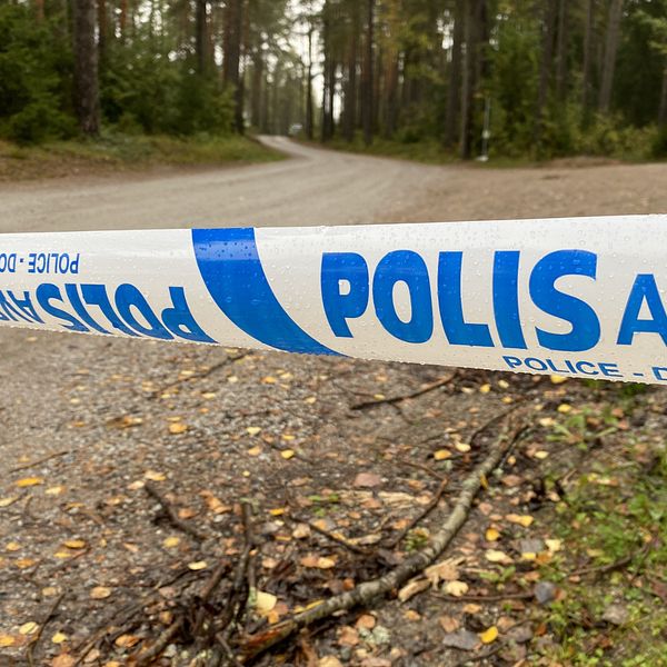 Bildens vänstra del visar en person som står i en skogsmiljö, iförd en svart jacka. Höger del av bilden visar en väg in i skogen, avskilt av ett blått och vitt polisband som markerar ett avspärrat område. Området kännetecknas av höga träd och en stenig väg.