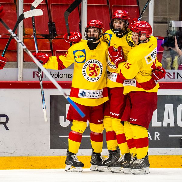 Smålands ishockeylag firar mål mot Skåne under match i ishallen.